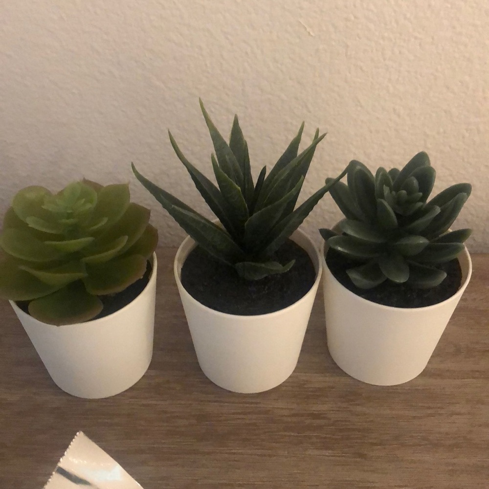 Set of 3 fake succulents